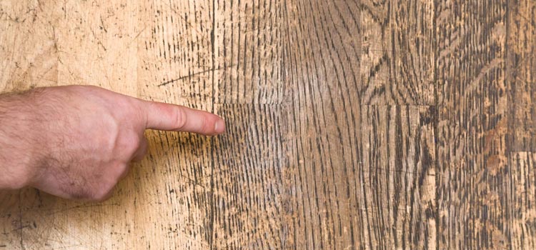 Wood Door Scratch Repair in North Fair Oaks